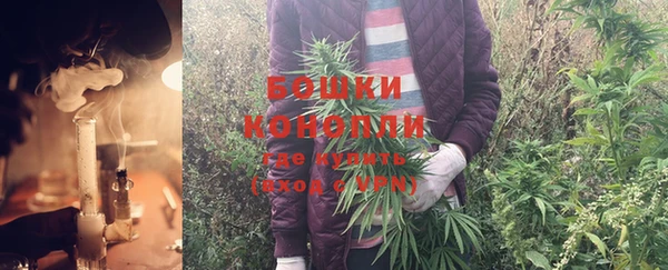 твердый Белокуриха