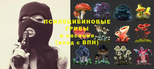 твердый Белокуриха