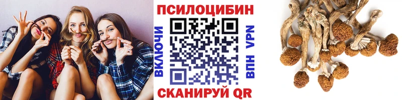 Псилоцибиновые грибы MAGIC MUSHROOMS  Купить  Десногорск 